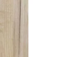 Дуб Золотой/Белый