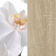 Орхидея белая/Дуб сонома