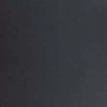 Черная кожа