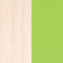 Дуб млечный / Зелёный