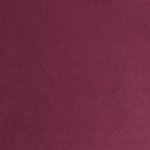 Темная фуксия