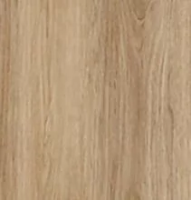 Дуб сантана