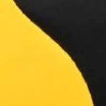 Черный/желтый