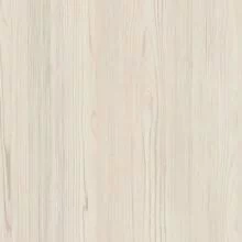 Сосна Астрид