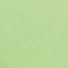 VELV81 (Светло-салатовый)