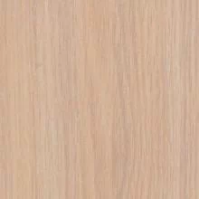 Дуб Млечный