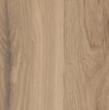 Дуб Денвер светлый