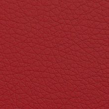 Красный иск.кожа