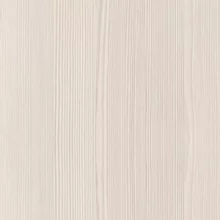 Бодега светлая