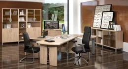 Кабинет Born от Skyland