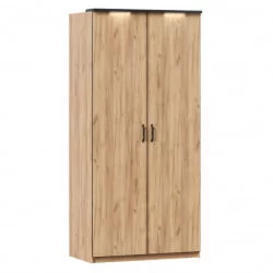 Шкаф двухстворчатый Техно ЛД 678.131.000.002 Дуб Золотой