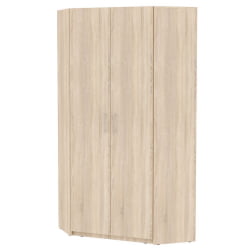 Шкаф распашный ЙР-230х1096(ДСС-3) / YR-230х1096(ДСС-3)