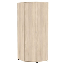 Шкаф распашный Алиса(H6) 2230х854х854 с торцевой ручкой (ДСС)