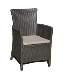 Стул Iowa Коричневый