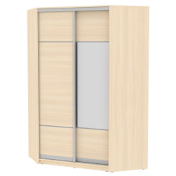Шкаф-купе YA-230х1400-718-2(ДМ-D4D3)