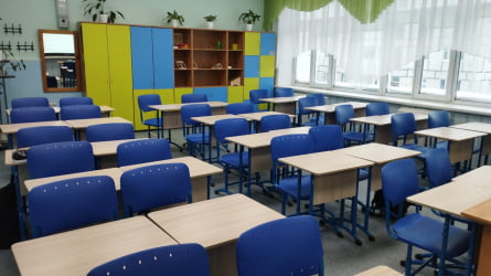 Стол ученический 1-местный регулируемый (ростомат) (рост 3-5) 600х500 мм ЛДСП Ясень шимо светлый/Металл Серый