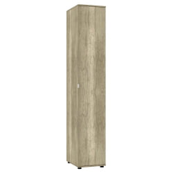 Шкаф распашный Алиса(Х2)2230х400х540сторцевойручкой(ДКМ) / Алиса(H2)2230х400х540сторцевойручкой(ДКМ)