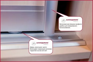 Шкаф-купе с фотопечатью Хит-24-17-77 Париж Ясень шимо темный