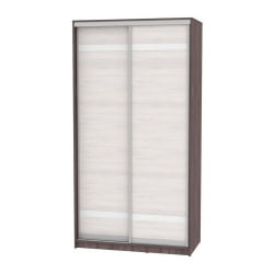 Белый шкаф-купе в прихожую Б-220х120х60-1(ЯАТ-ЯАС-Д9Д9) / B-220х120х60-1(ЯАТ-ЯАС-D9D9)