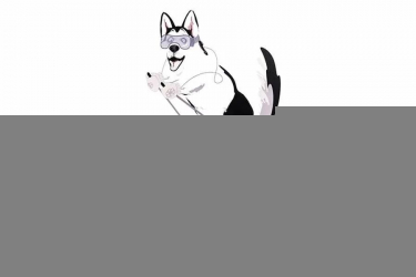 Шкаф-купе Хаски 23 Дуб Ирландский Белый