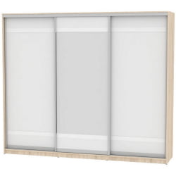 Шкаф-купе B-220х270х60-1(ДСС-Белый-D9D10D9)