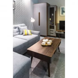 Шкаф двухстворчатый Сканди (ДС) Грей