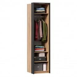 Шкаф одностворчатый с комбинированной дверью и паспарту Техно 02 Дуб Золотой Черный