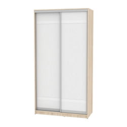 Белый шкаф-купе в прихожую Б-220х120х60-1(ДСС-Белый-Д9Д9) / B-220х120х60-1(ДСС-Белый-D9D9)