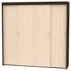 Шкаф-купе Т-5-230х235х60(Венге-ДМ-2) / T-5-230х235х60(Венге-ДМ-2)