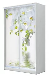 Двустворчатый гардеробный шкаф Хит-24-14-77 Орхидея Белая шагрень