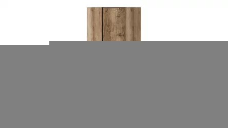 Детский шкаф для одежды Пилигрим ТД-276.07.23 Дуб каньон светлый/Серый