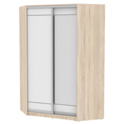 Шкаф-купе YA-230х1400-718-5(ДСС-Белый-D1D2)