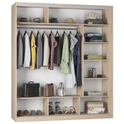 Шкаф-купе B-220х200х60-2(ВД-D9D9D9)