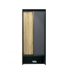 Шкаф-купе Ольга-Лофт 10.1 Дуб Крафт золотой Темно-серый