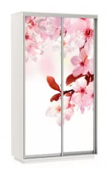 Шкаф-купе с фотопечатью Экспресс Дуо 1200х2200h Сакура/Белый снег