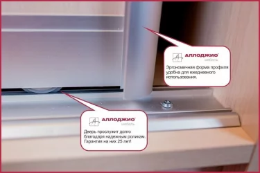 Шкаф-купе Хит-24-12-77 Орхидея Ясень шимо светлый