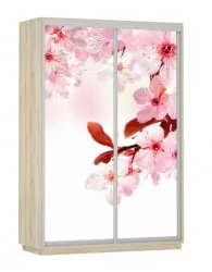 Шкаф-купе двухдверный Экспресс Дуо 1600х2200h Сакура/Дуб сонома