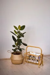 Газетница 17/13 олива