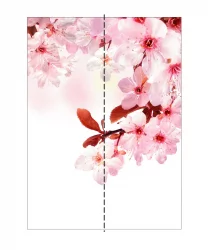 Шкаф-купе двухдверный Экспресс Дуо 1200х2400х Сакура/Дуб сонома / 1200х2400h