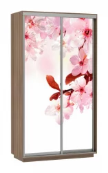 Шкаф-купе двухдверный Экспресс Хит Сакура/Шимо тёмный