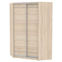 Шкаф-купе YA-230х1400-718-3(ДСС-D1D1)