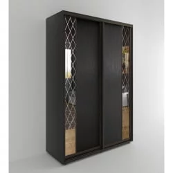 Шкаф-купе 2-х дверный Акцент-Вера ДР 1200х600 Венге