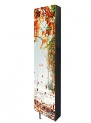 Шкаф с зеркалом Драйв Шелф Арт (левый) Венге