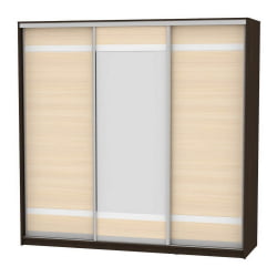 Детский шкафы-купе B-220х235х60-1(Венге-ДМ-D9D10D9)