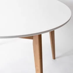 Стол обеденный Орион 100x100 Морилка Орех Эмаль белая