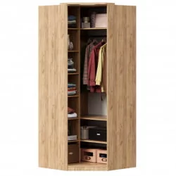 Шкаф угловой Фиджи ЛД 659.247.000 Дуб Золотой Белый