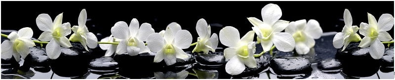 Глянцевый фартук (КОМПОЗИТ) КМ 35 / KM