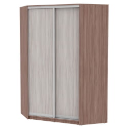 Шкаф-купе YA-230х1400-718-1(ЯШТ-ЯШС-D6D6)