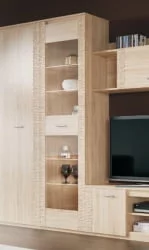 Шкаф для гостиной со стеклянными дверьми Элана (В) Дуб сонома