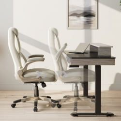 Эргономичное компьютерное кресло Еурека ОC11-ОВ, белое / Eureka OC11-OW,